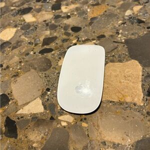 Apple mouse